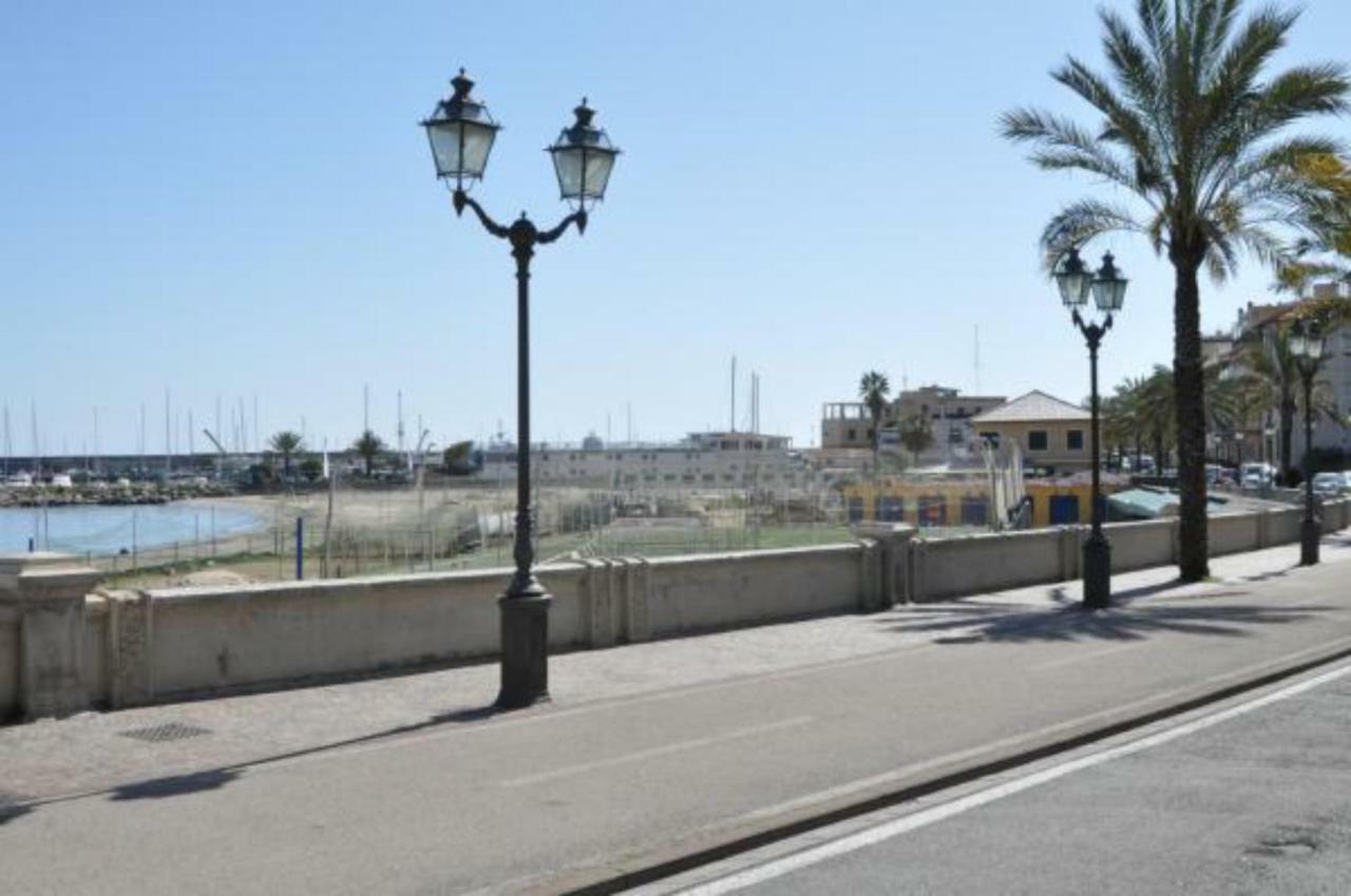 Orchidea - Sanremo